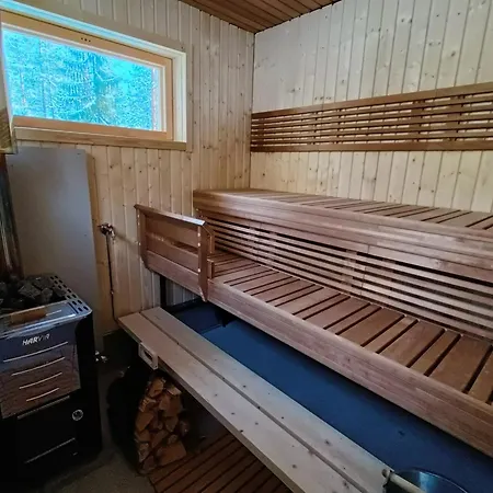 Naukkari *
