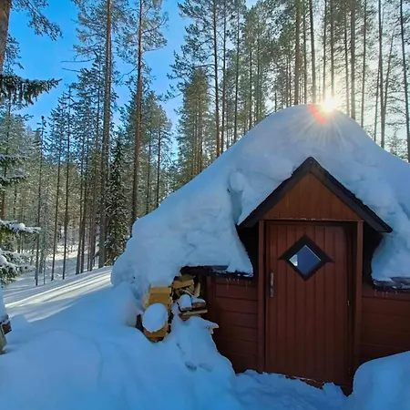 Naukkari *