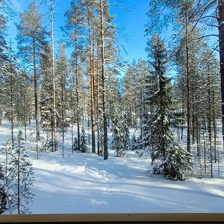 Naukkari * Iso-Syöte